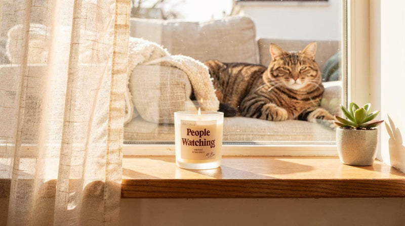 Are Paraffin Candles Safe Around Indoor Cats? What Owners Often Overlook - MBur Candle Co.