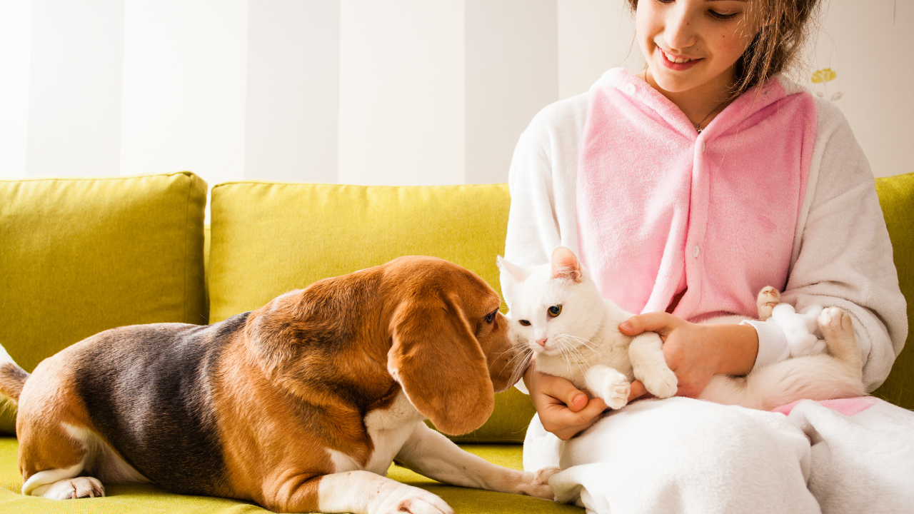 Enhancing Your Bond with Your Fur Baby: The Power of Pet-Friendly Candlelight