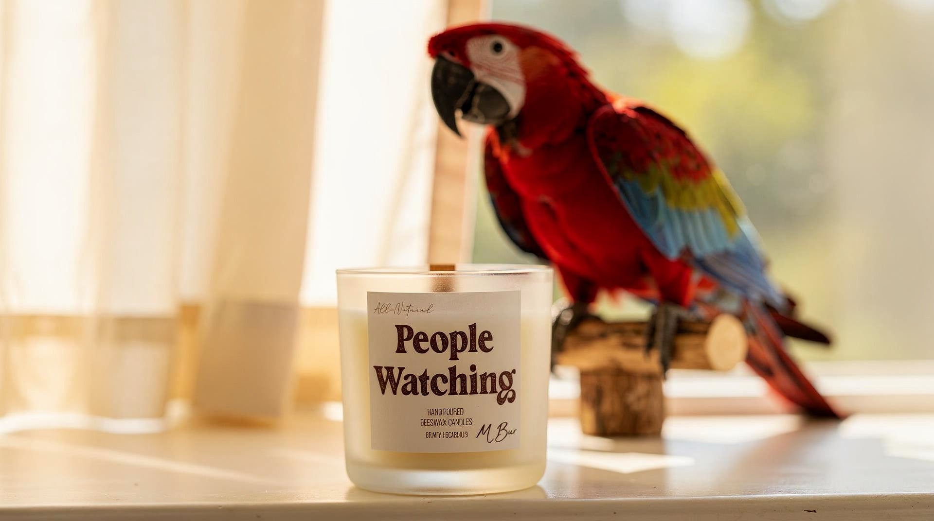 Are Candles Bad for Birds? What Pet Bird Owners Need to Know - MBur Candle Co.