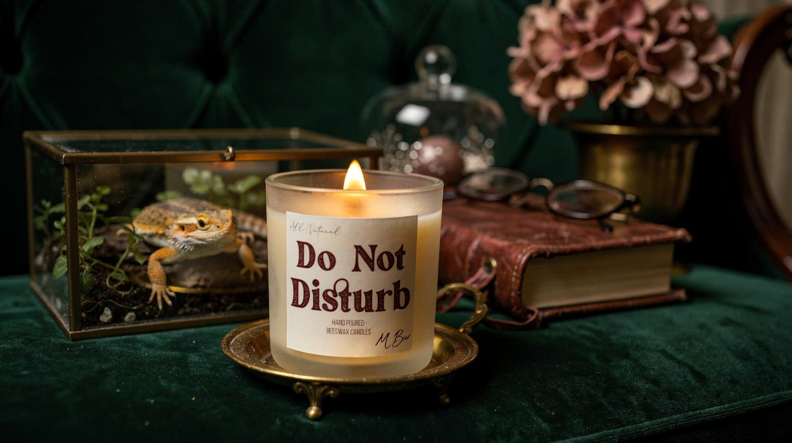 Best Candles for a Bearded Dragon Room: What's Actually Safe - MBur Candle Co.
