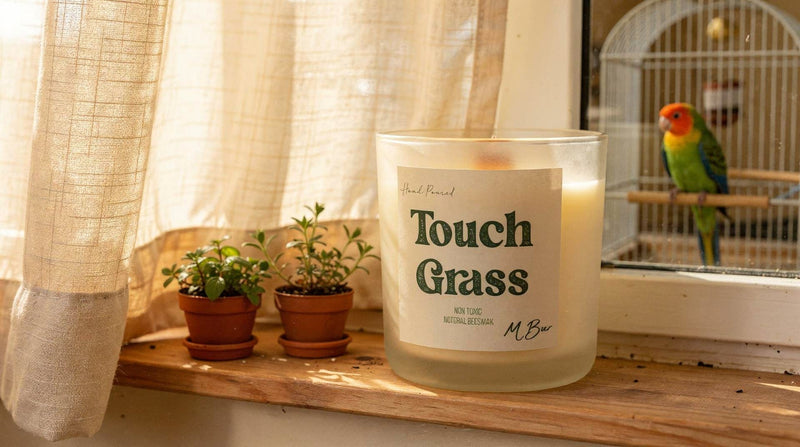 Are Candles Bad for Birds? What Every Bird Owner Should Know - MBur Candle Co.