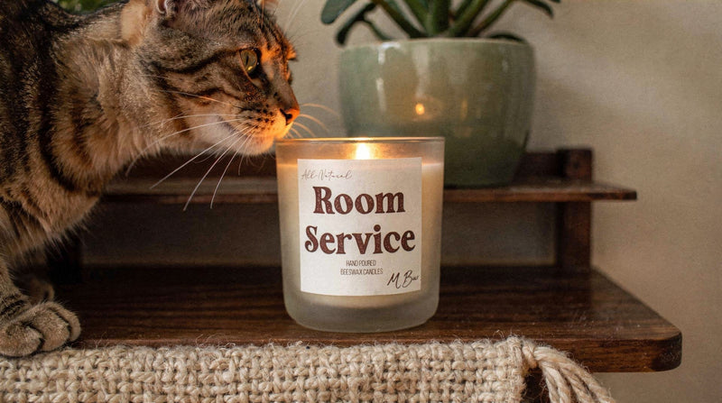 Pet Safe Candles for Cats: What to Burn When You Live With Curious Felines - MBur Candle Co.