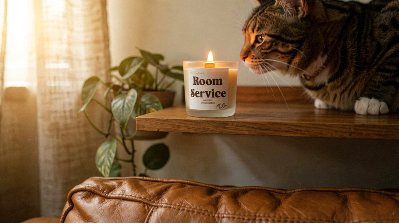 Safe Candles for Cats: How to Pick a Candle That Won't Harm Your Feline - MBur Candle Co.