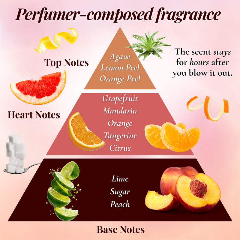 Fragrance notes pyramid infographic with citrus, agave and peach