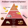 Fragrance pyramid infographic showing citrus, ginger, vanilla and spice notes