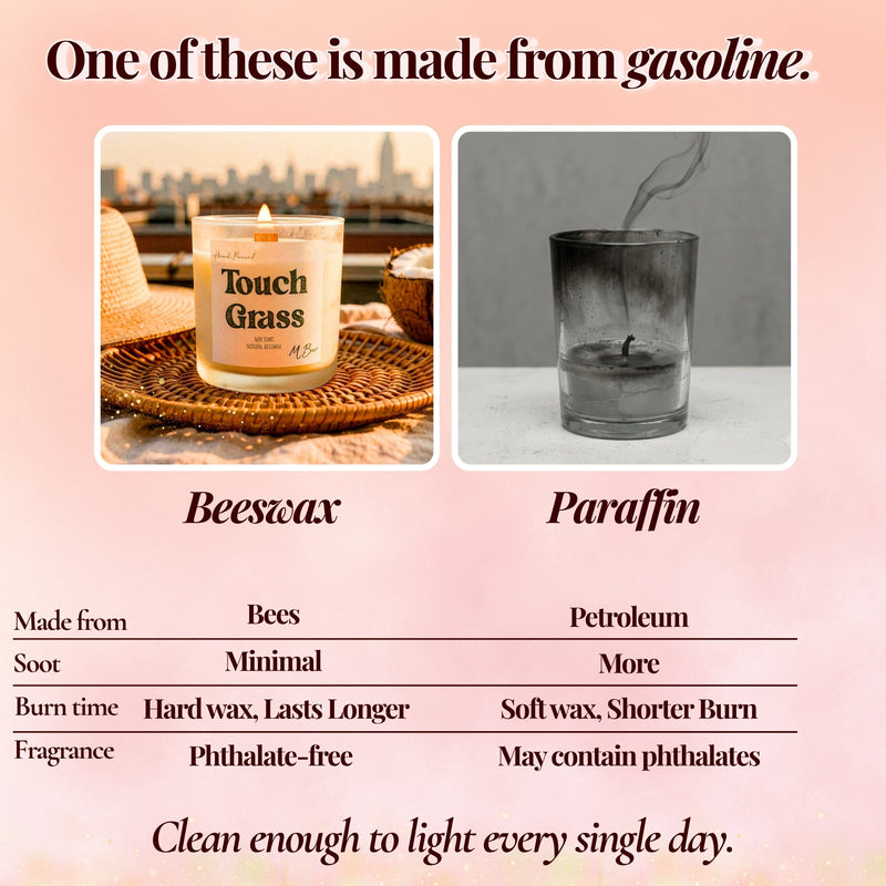Infographic comparing beeswax and paraffin candles