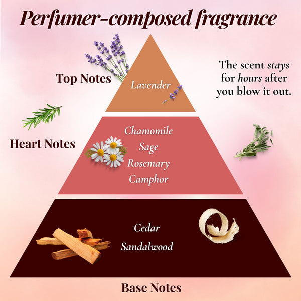 Fragrance notes pyramid infographic with lavender, herbs and cedar