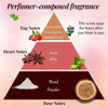 Fragrance pyramid infographic showing mint eucalyptus wood scent notes
