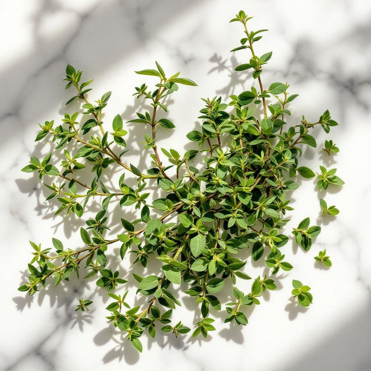 Thyme